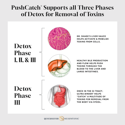 PushCatch® Liver Detox